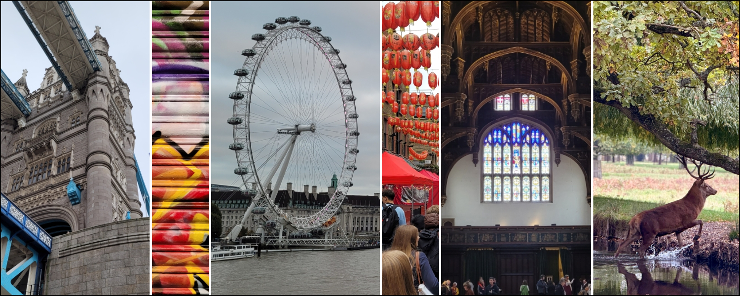 London Calling: Das Ellenrieder auf Austauschreise